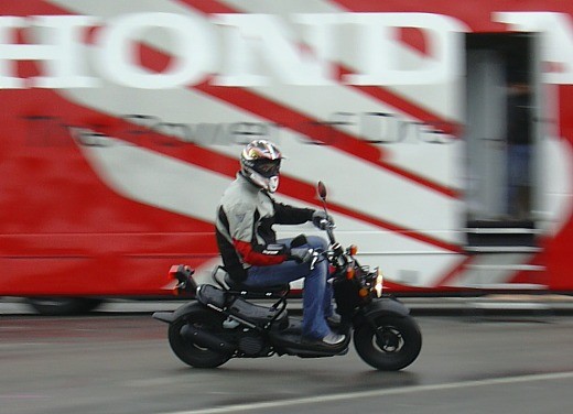 Honda Zoomer 50: Test Ride - Fotogallery - 3