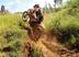 KTM Adventure Bike