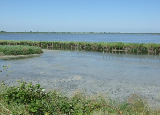 Sul Delta del Po - Fotogallery - 4