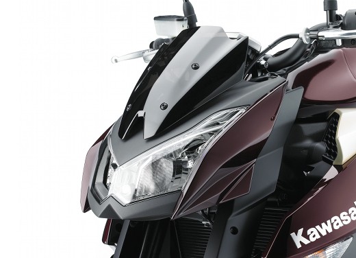 Nuova Kawasaki Z1000 2010 - Fotogallery - 18